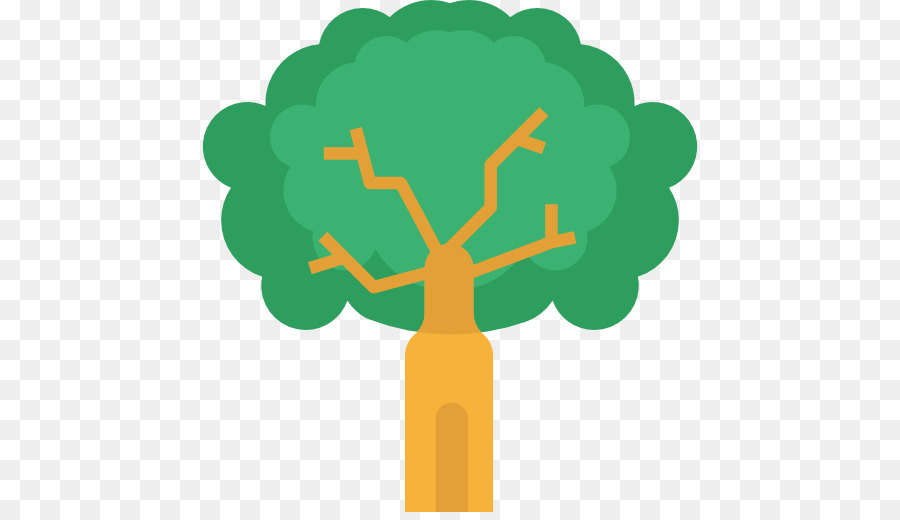 árbol，Planta PNG