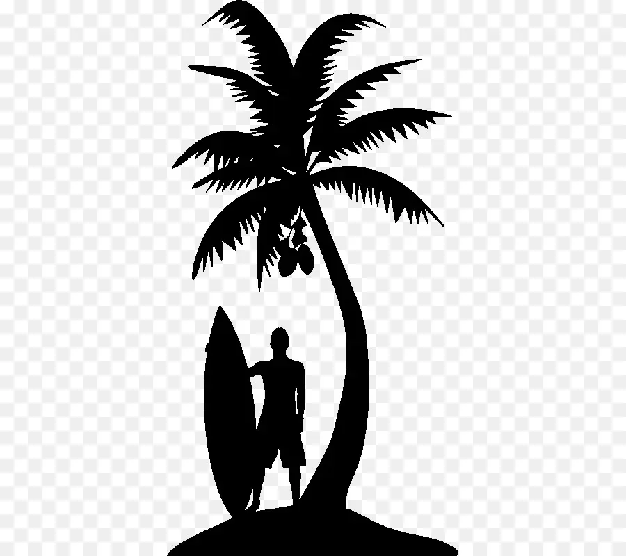 Surfista Y Palmera，Surf PNG