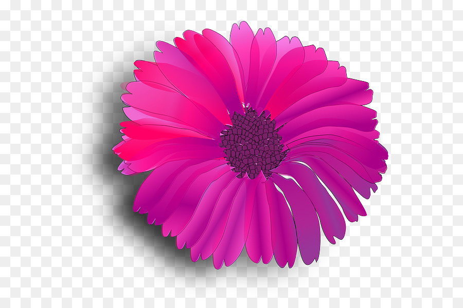 Flor Rosa，Florecer PNG