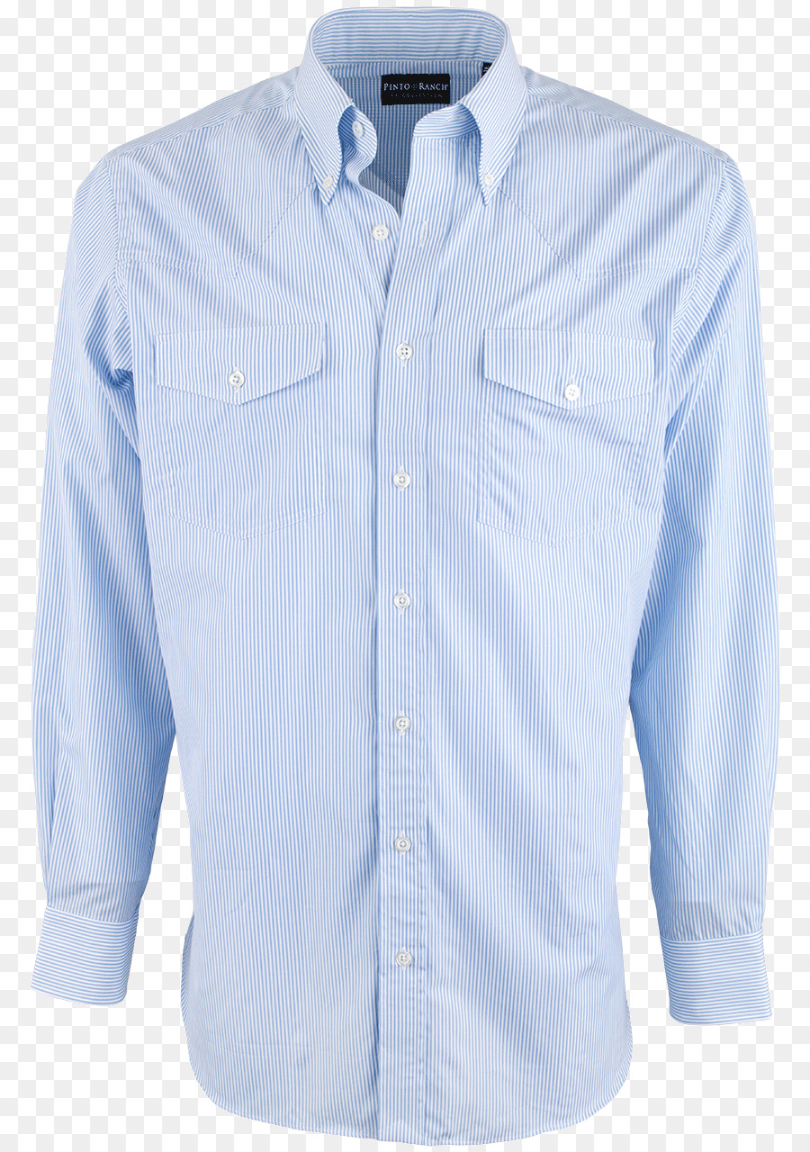 Camisa De Vestir，Blusa PNG