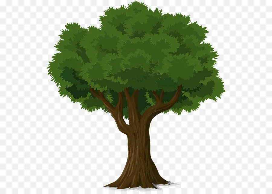 Árbol，Tronco PNG