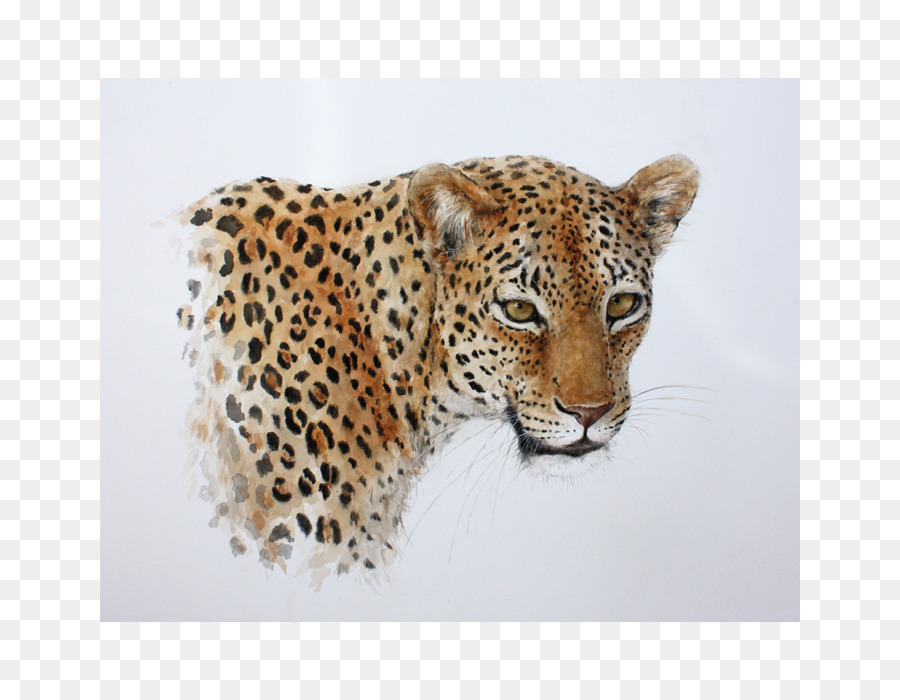 Leopardo，Jaguar PNG