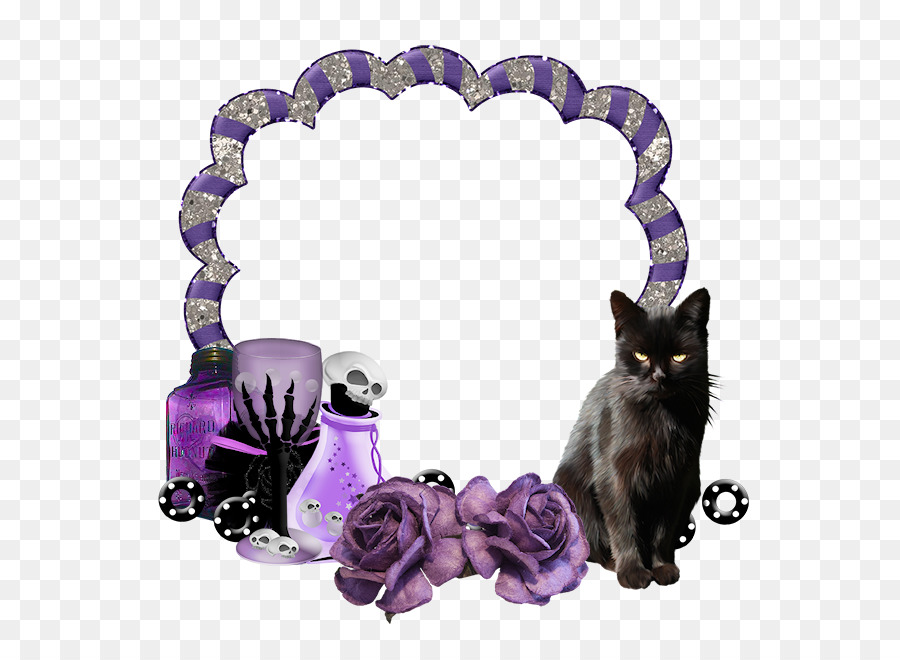 Gato Negro，Rosas Moradas PNG