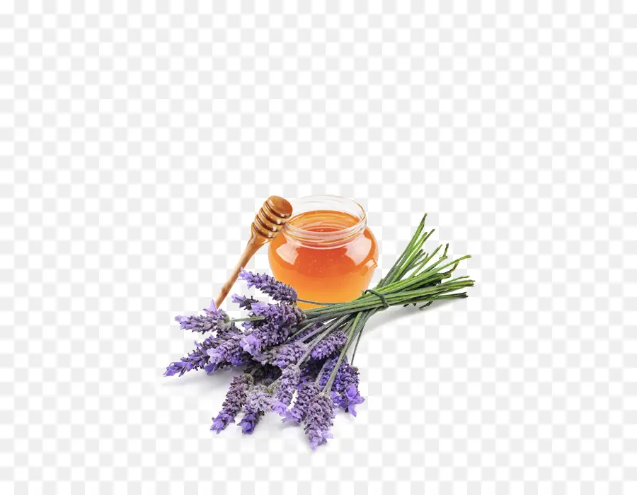 Inglés Lavanda，El Aceite De Lavanda PNG