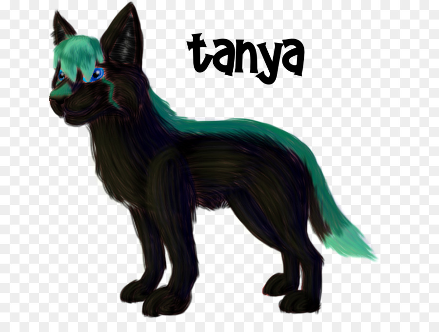 Gato，Caniche PNG