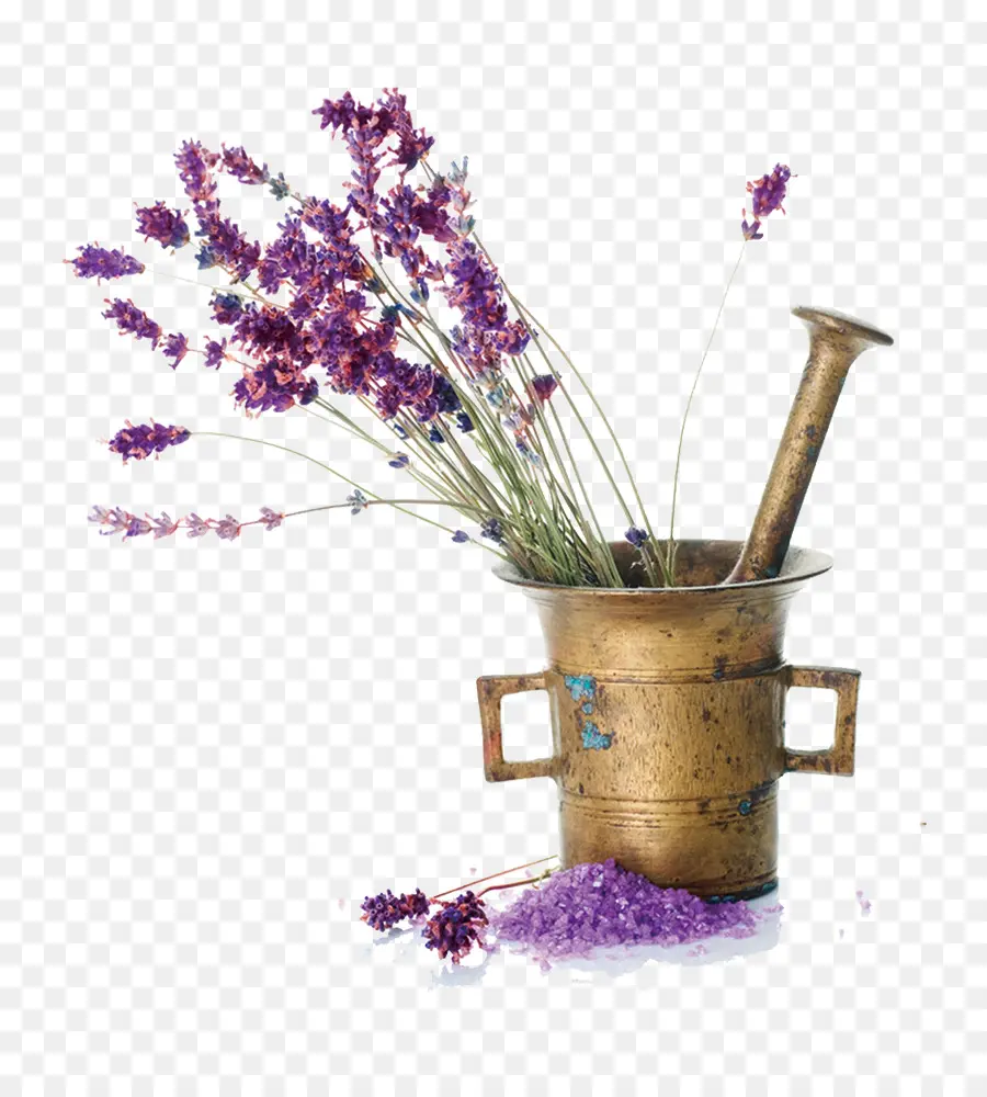 Lavanda，Aromaterapia De Los Recientes PNG