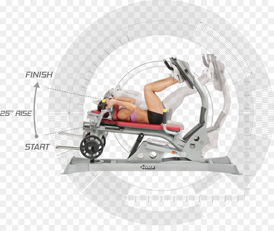 Gimnasio，Rueda PNG