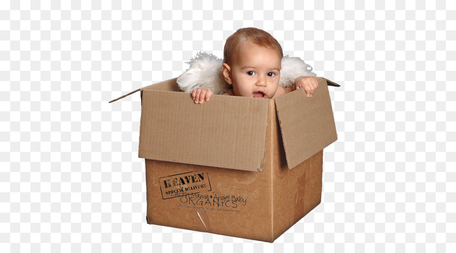 Bebé En Caja，Cartulina PNG