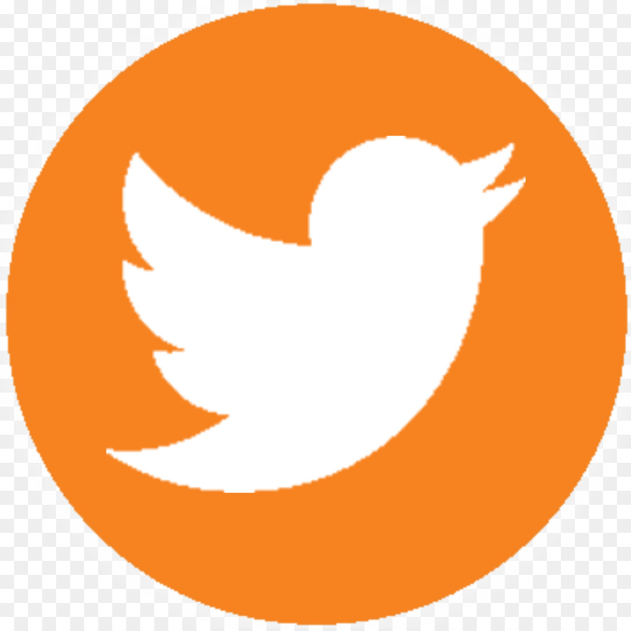 Logotipo De Twitter，Pájaro PNG