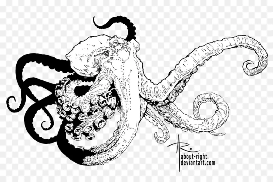 Pulpo，Arte De Línea PNG