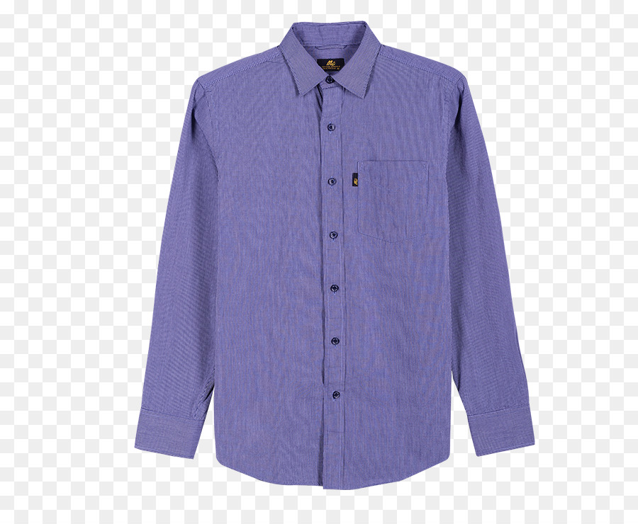 Camisa De Vestir，Blusa PNG