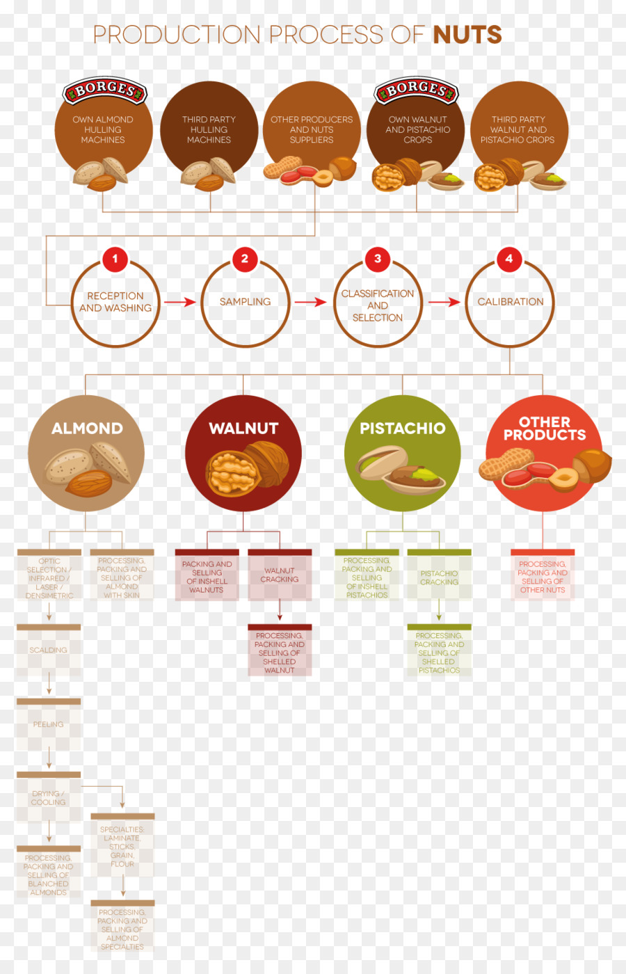 La Producción，El Proceso De Producción PNG