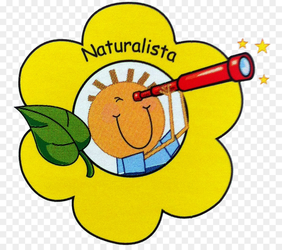 Inteligencia Naturalista，La Teoría De Las Inteligencias Múltiples PNG