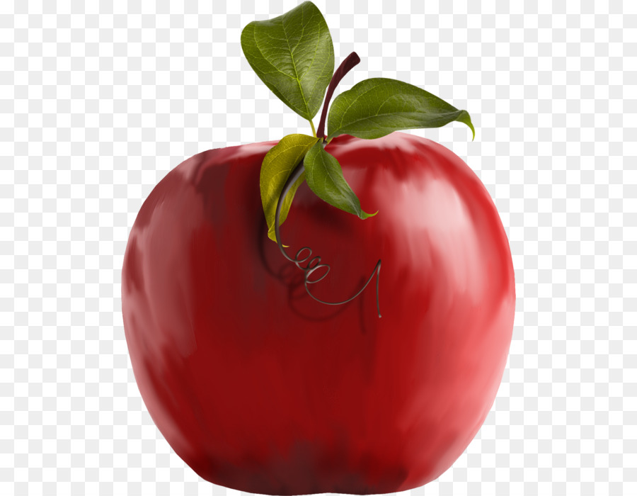 Tomate，La Comida PNG