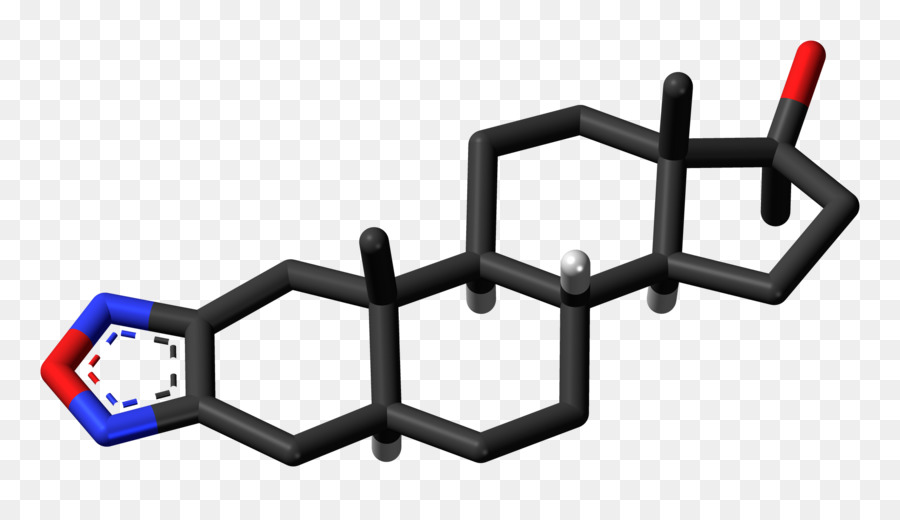 El Cortisol，La Dehidroepiandrosterona PNG