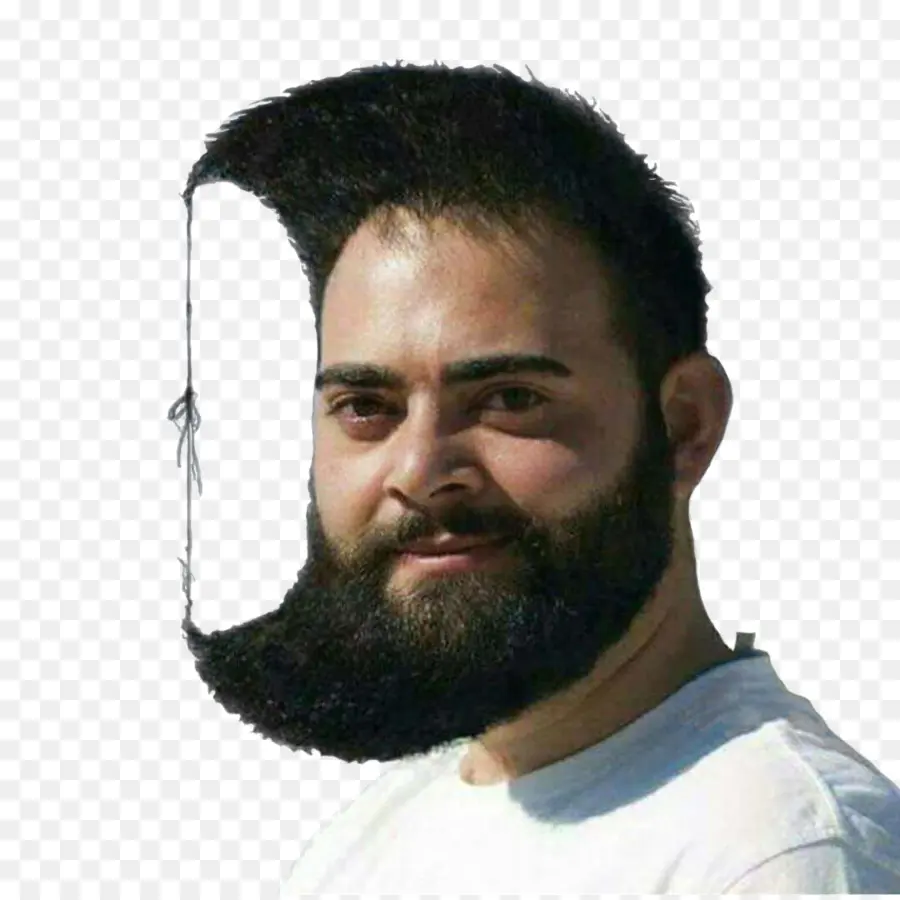 Estilo De Barba，Vello Facial PNG