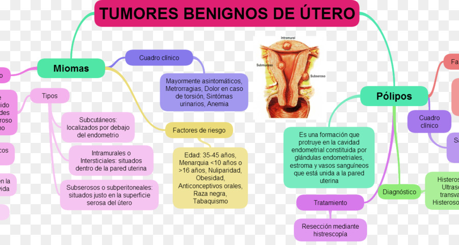 útero，Fibroma Uterino PNG