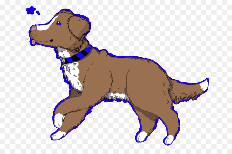 Nova Scotia Duck Tolling Retriever，Cachorro PNG