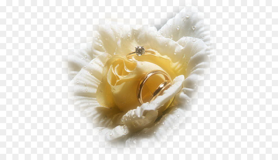 Anillos De Boda，Flor PNG