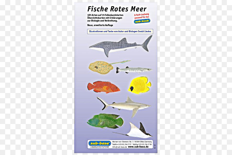 Los Peces，Mar Rojo PNG