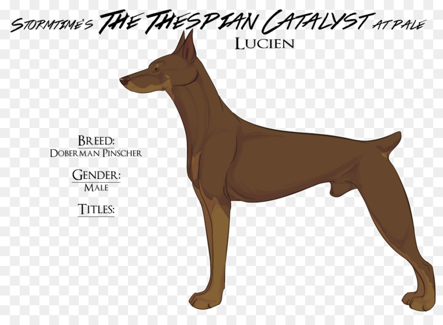 Dobermann，Pinscher Alemán PNG