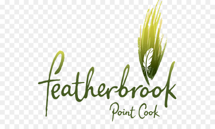 Central De Equidad Featherbrook Punto De Cook，Central De La Equidad PNG