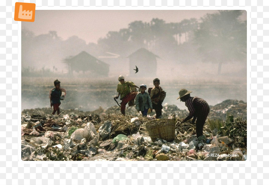 La Fotografía，La Naturaleza PNG