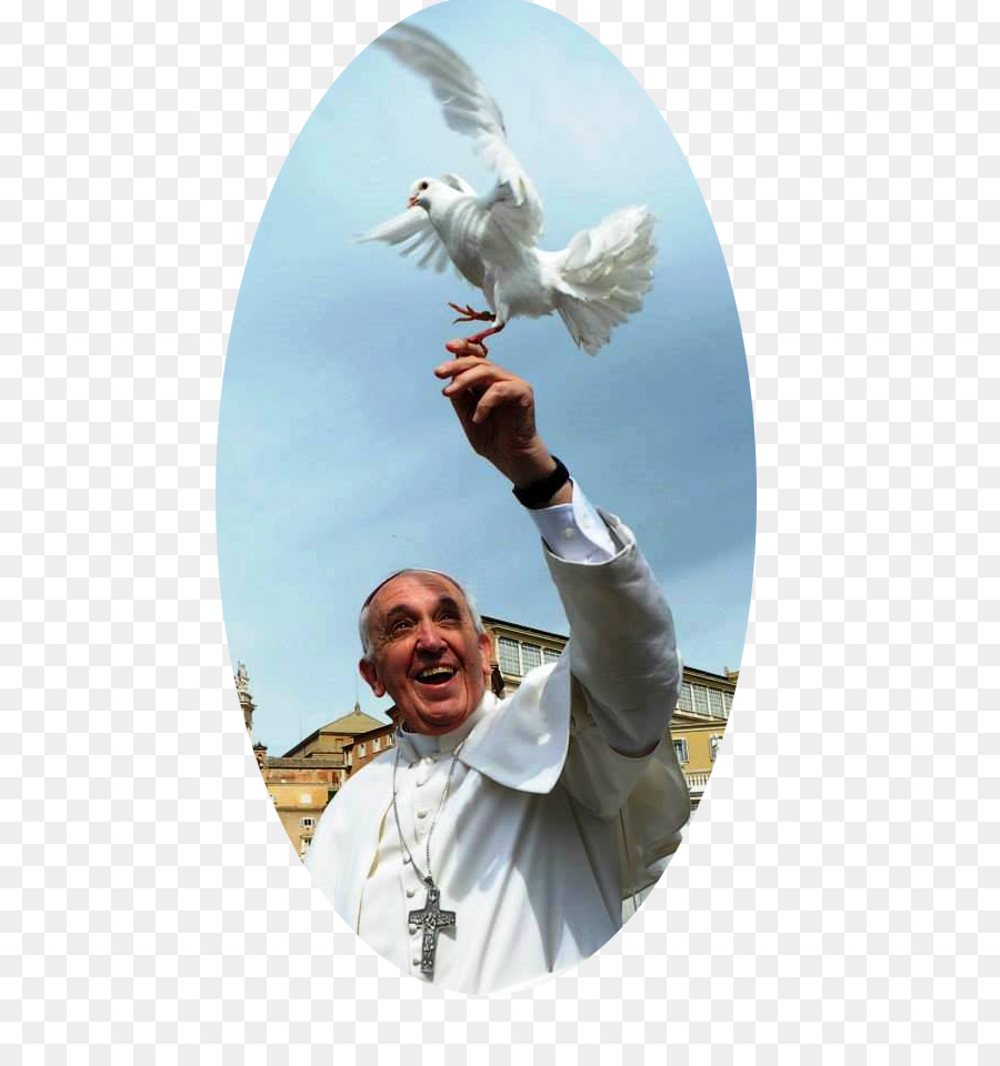 Papa Francisco，Ciudad Del Vaticano PNG