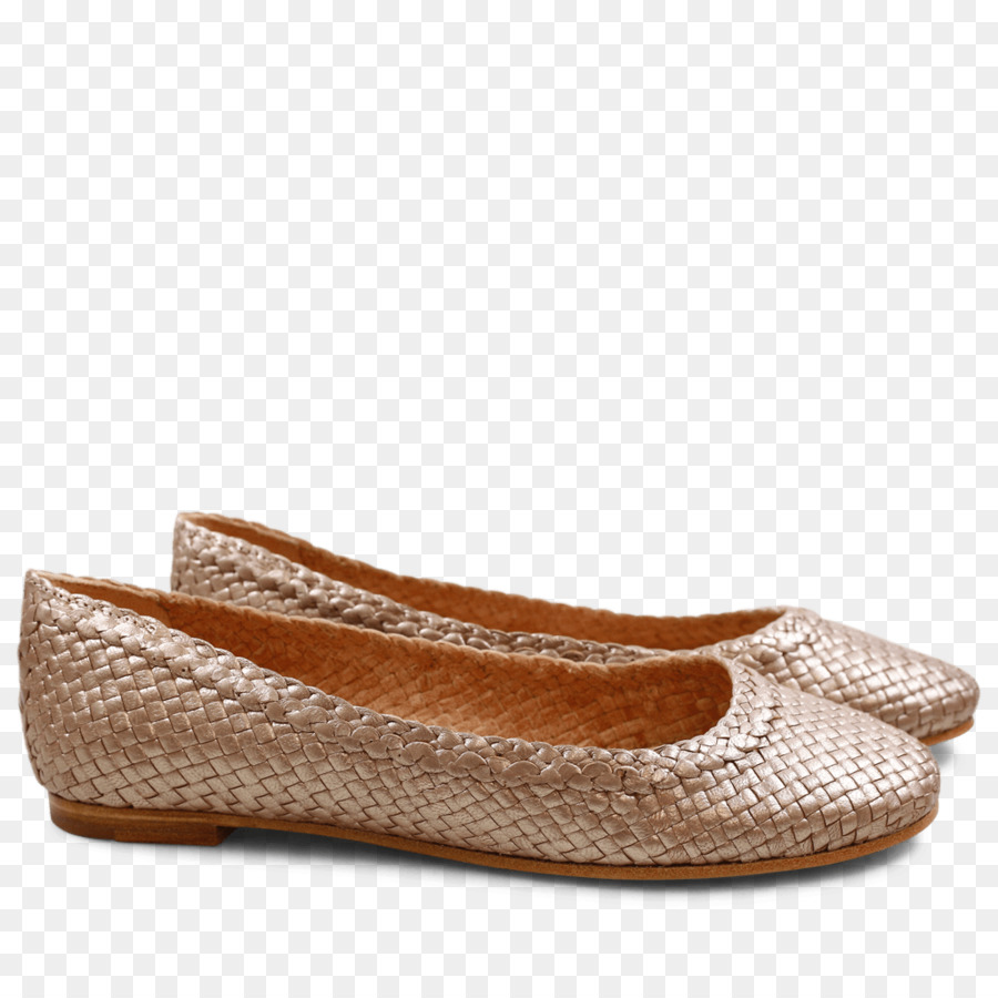 El Ballet Plana，Zapato PNG