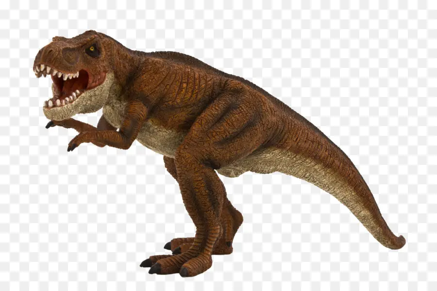 Tyrannosaurus，Dinosaurio PNG