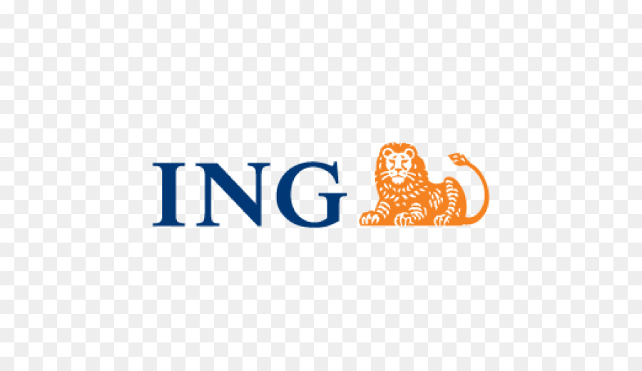 Grupo Ing，Negocio PNG