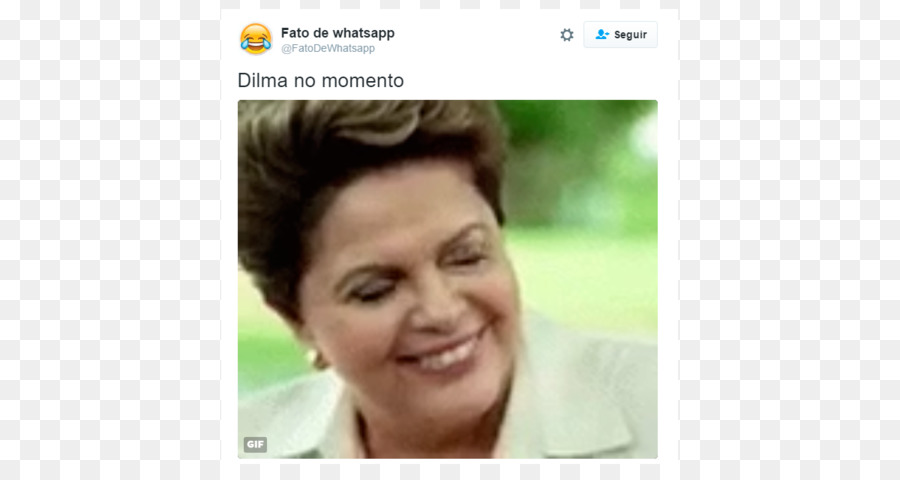 Dilma Rousseff，El Juicio Político De Dilma Rousseff PNG