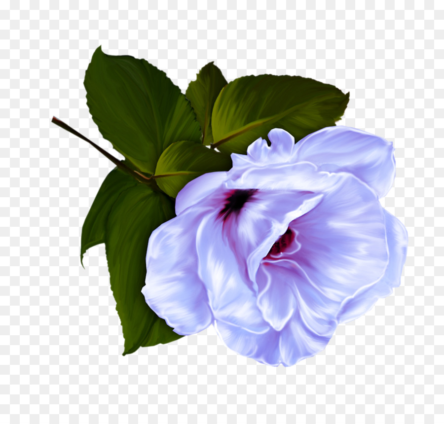 Flor，ЯндексФотки PNG