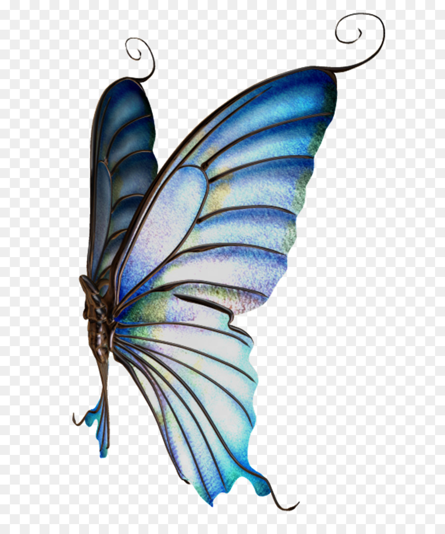 Alas De Mariposa Azul，Mariposa PNG