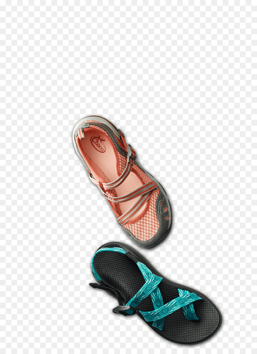 Chanclas，El Agua Zapato PNG