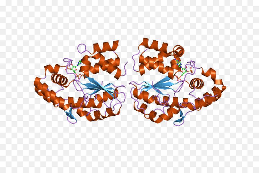 El Cuerpo De La Joyería，Joyería PNG