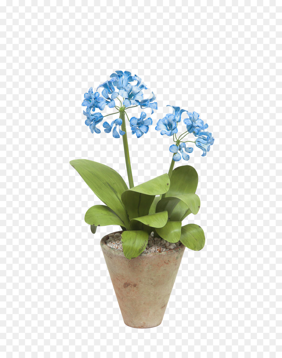 Flores Azules，Olla PNG