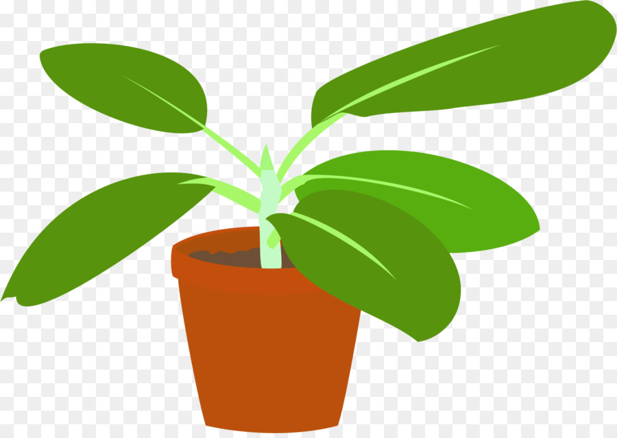 Planta En Maceta，Interior PNG