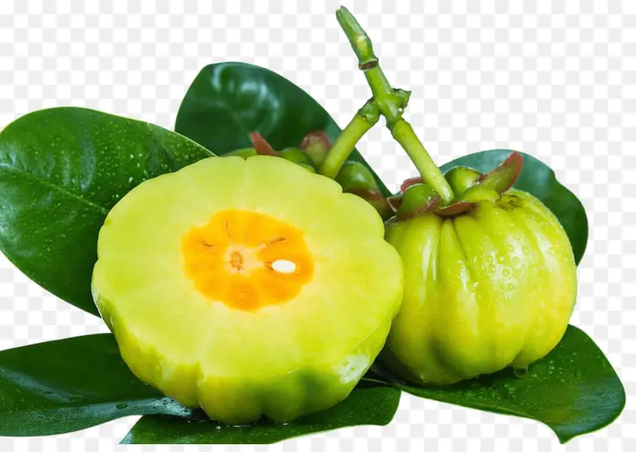 Garcinia Camboya，Verde PNG