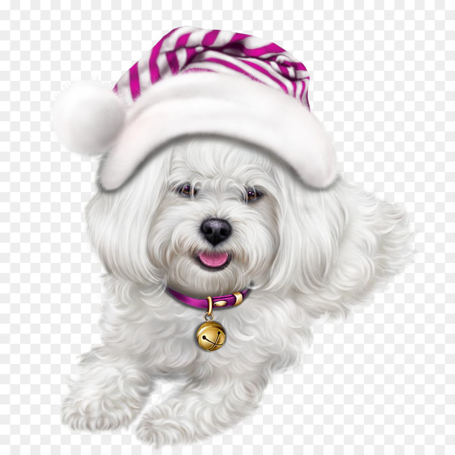 Perro，Mascota PNG