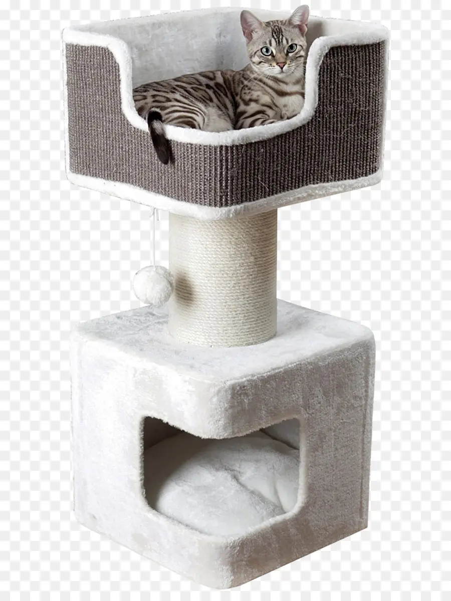 Gato，árbol De Gato PNG