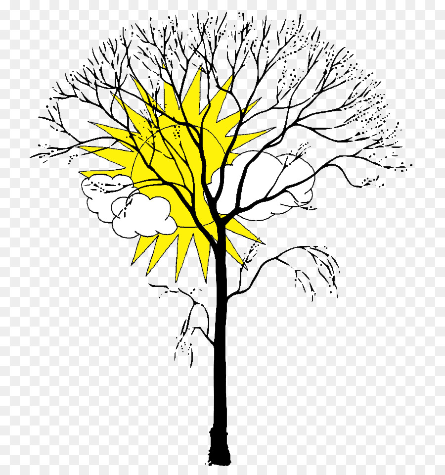 Libro Para Colorear，Árbol PNG