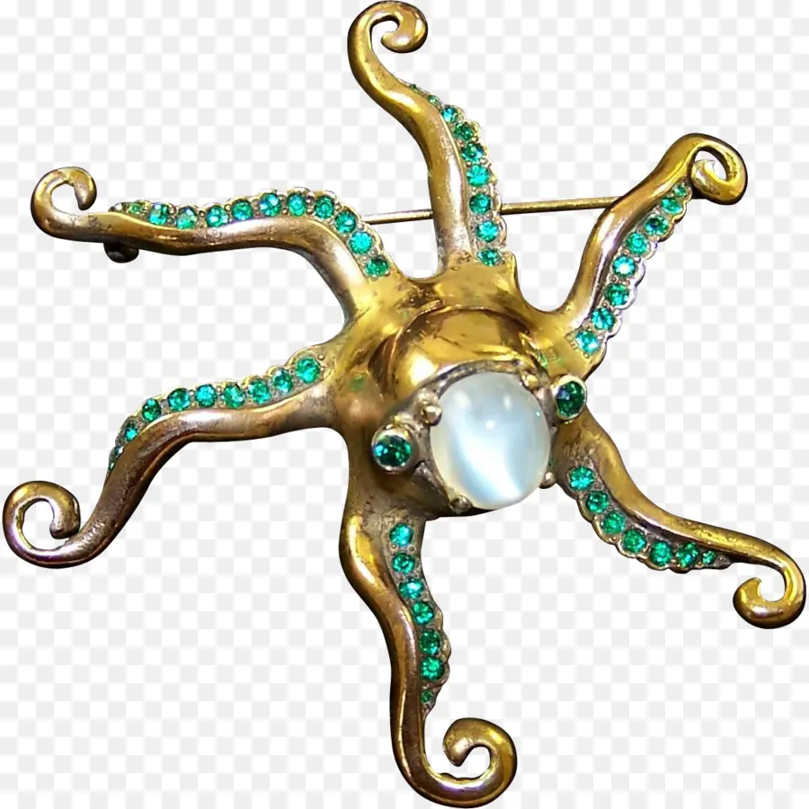 Broche De Pulpo，Accesorio PNG