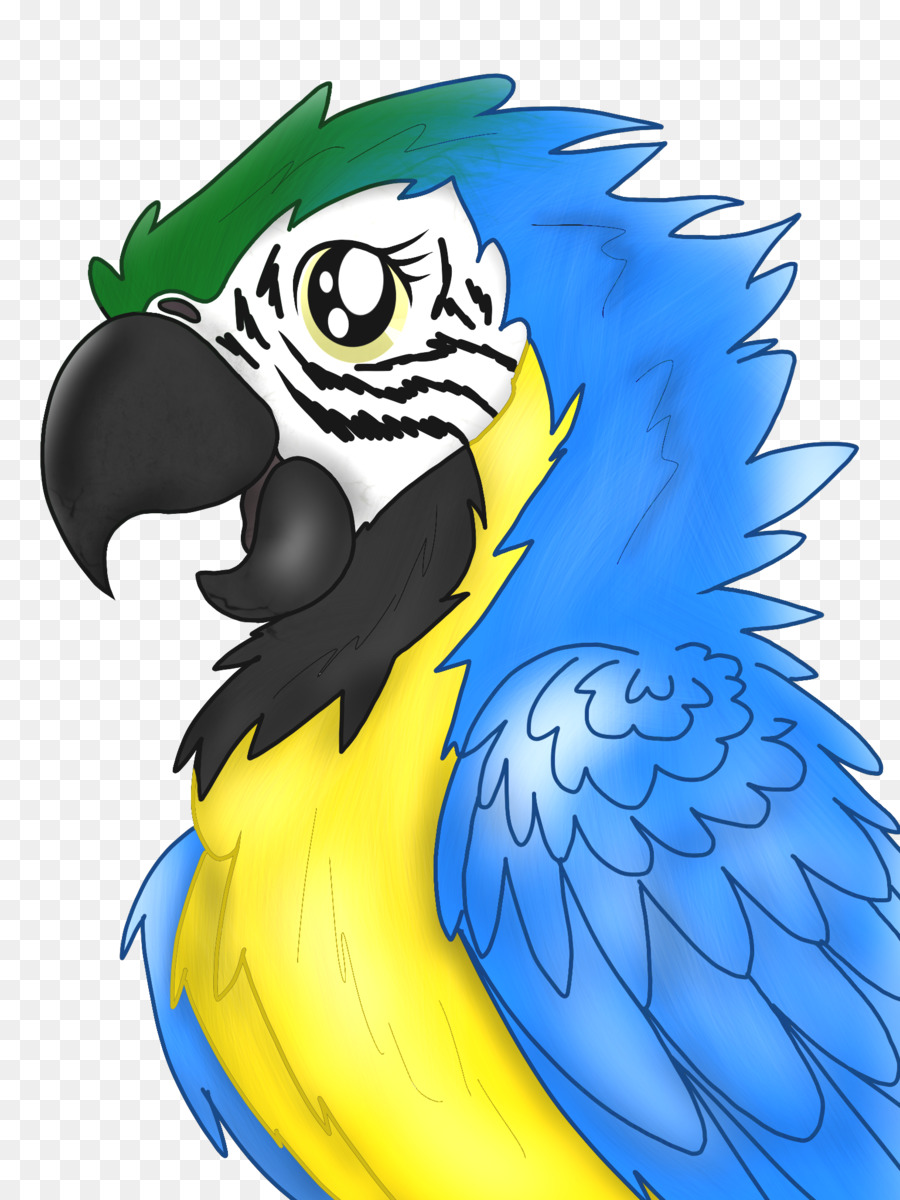 Guacamayo，Loro PNG