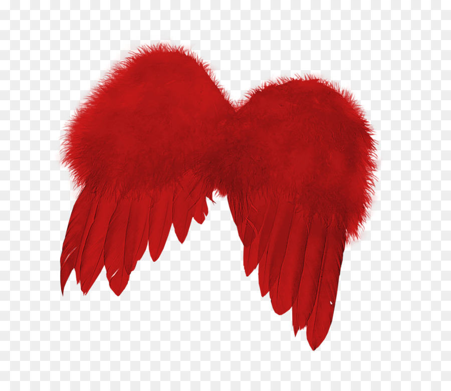 Alas Rojas，Plumas PNG