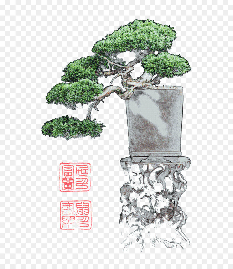 Bonsai，Maceta PNG