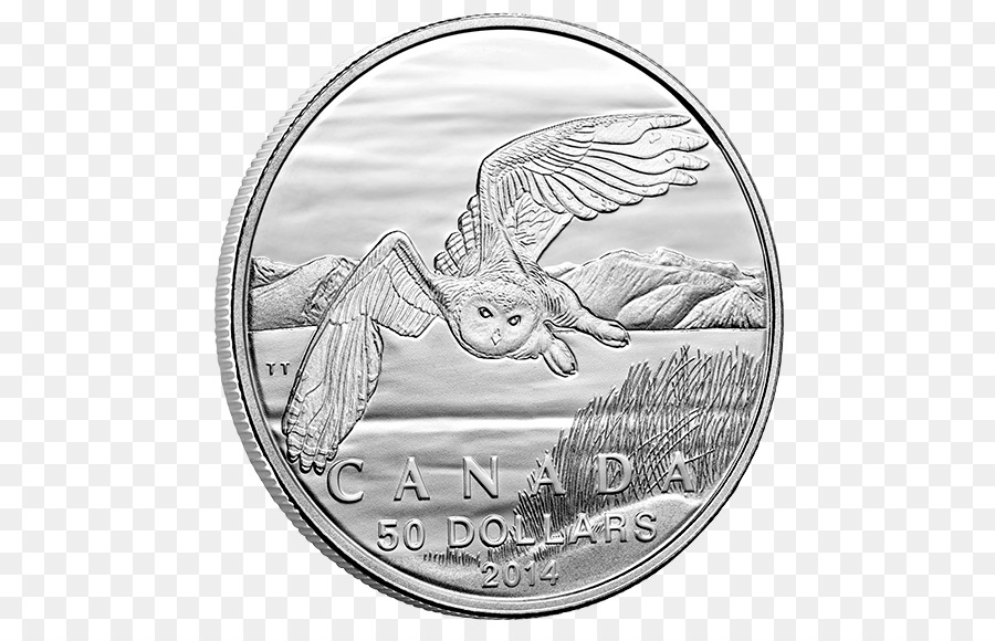 Moneda Canadiense，Búho PNG