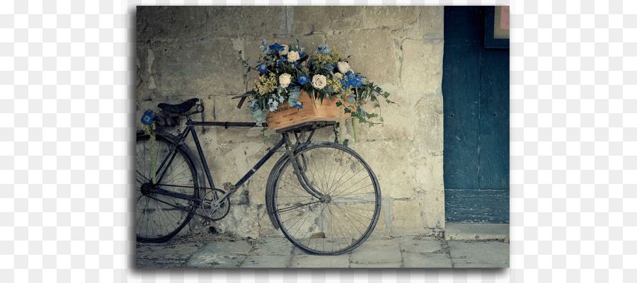 Bicicleta Con Flores，Flores PNG