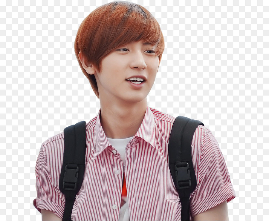 Chanyeol，Exo PNG