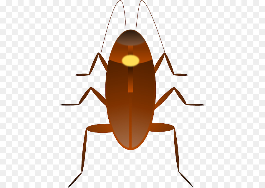 Cucaracha，Iconos De Equipo PNG